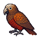 Kākā
