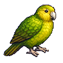 Kākāpō