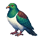 Kererū